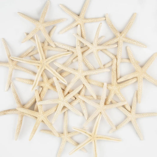 20 PCS 2"-4" 4"-6" Bulk Natural Real Starfish for DIY Crafts Wedding Beach Christmas Tree Ornaments