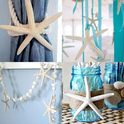 20 PCS 2"-4" 4"-6" Bulk Natural Real Starfish for DIY Crafts Wedding Beach Christmas Tree Ornaments