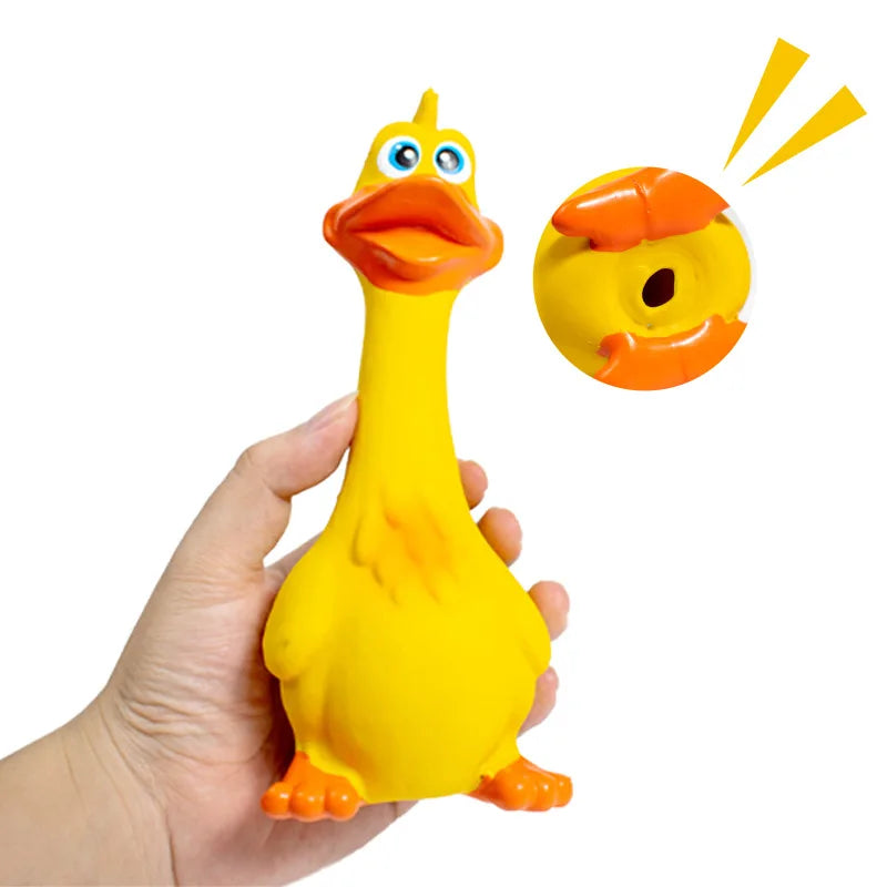 US LOCAL STOCK Hiphoppet 3pcs Hot Sale Latex Screaming Chicken Toys Eco Friendly TPR Pet Squeaky Dog Interactive Play Chew Toys