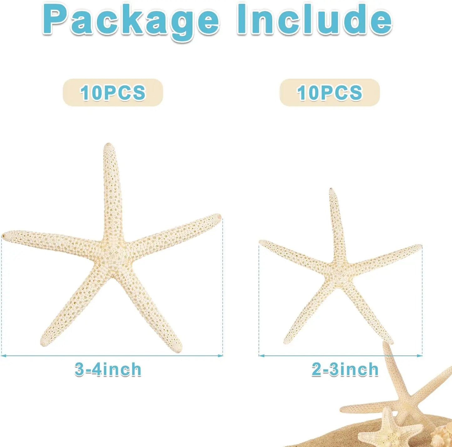 20 PCS 2"-4" 4"-6" Bulk Natural Real Starfish for DIY Crafts Wedding Beach Christmas Tree Ornaments