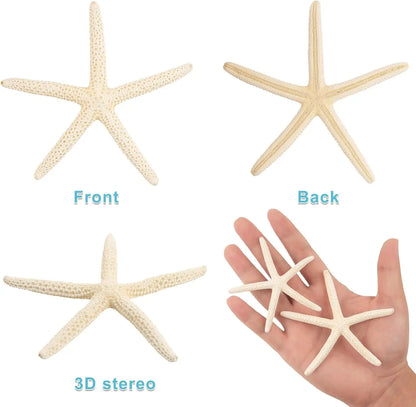 20 PCS 2"-4" 4"-6" Bulk Natural Real Starfish for DIY Crafts Wedding Beach Christmas Tree Ornaments