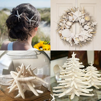 20 PCS 2"-4" 4"-6" Bulk Natural Real Starfish for DIY Crafts Wedding Beach Christmas Tree Ornaments