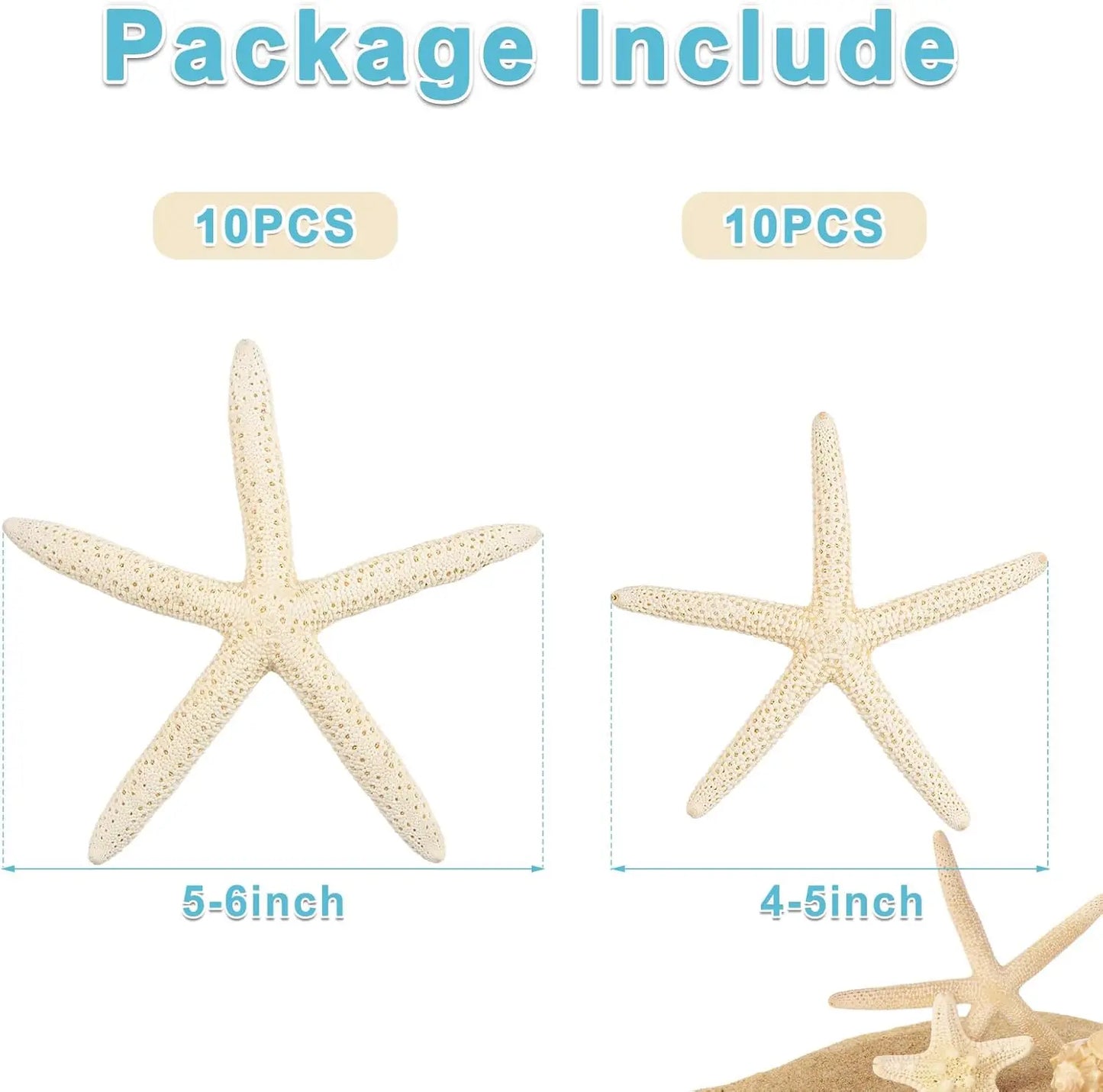 20 PCS 2"-4" 4"-6" Bulk Natural Real Starfish for DIY Crafts Wedding Beach Christmas Tree Ornaments