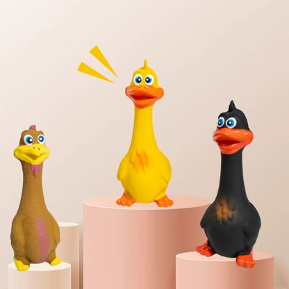 US LOCAL STOCK Hiphoppet 3pcs Hot Sale Latex Screaming Chicken Toys Eco Friendly TPR Pet Squeaky Dog Interactive Play Chew Toys