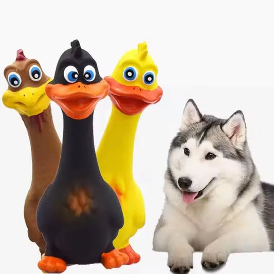 US LOCAL STOCK Hiphoppet 3pcs Hot Sale Latex Screaming Chicken Toys Eco Friendly TPR Pet Squeaky Dog Interactive Play Chew Toys